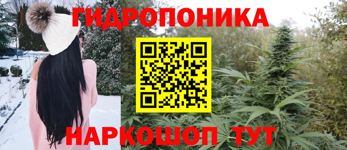 Каннабис SATIVA & INDICA Дивногорск